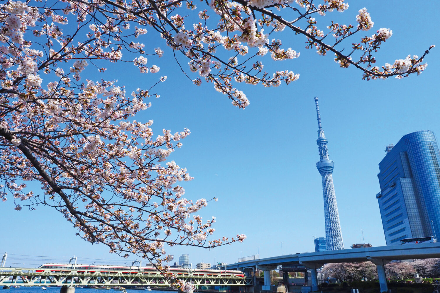 〈東京港〉日本の首都TOKYOのゲートウェイ