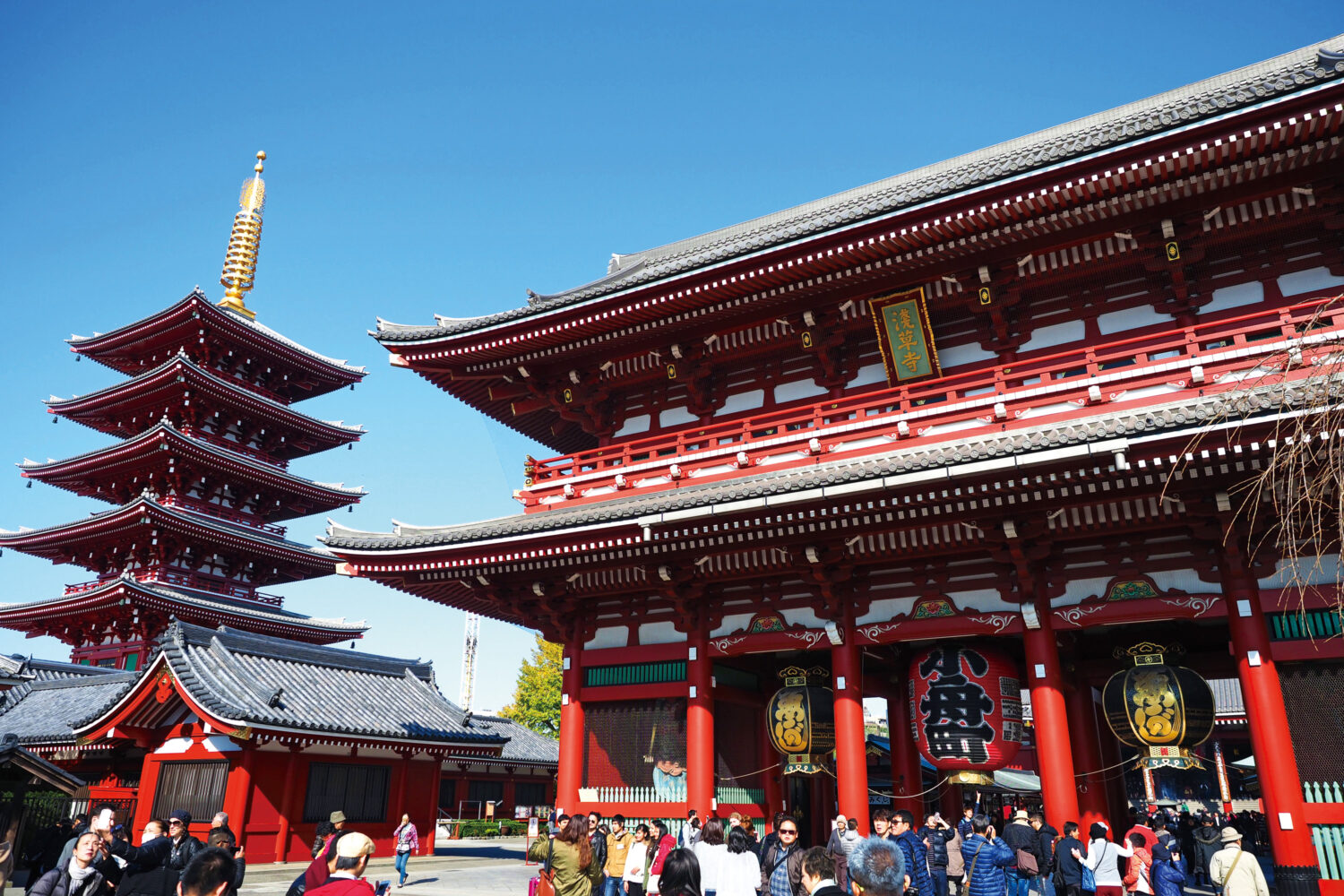 〈東京港〉日本の首都TOKYOのゲートウェイ