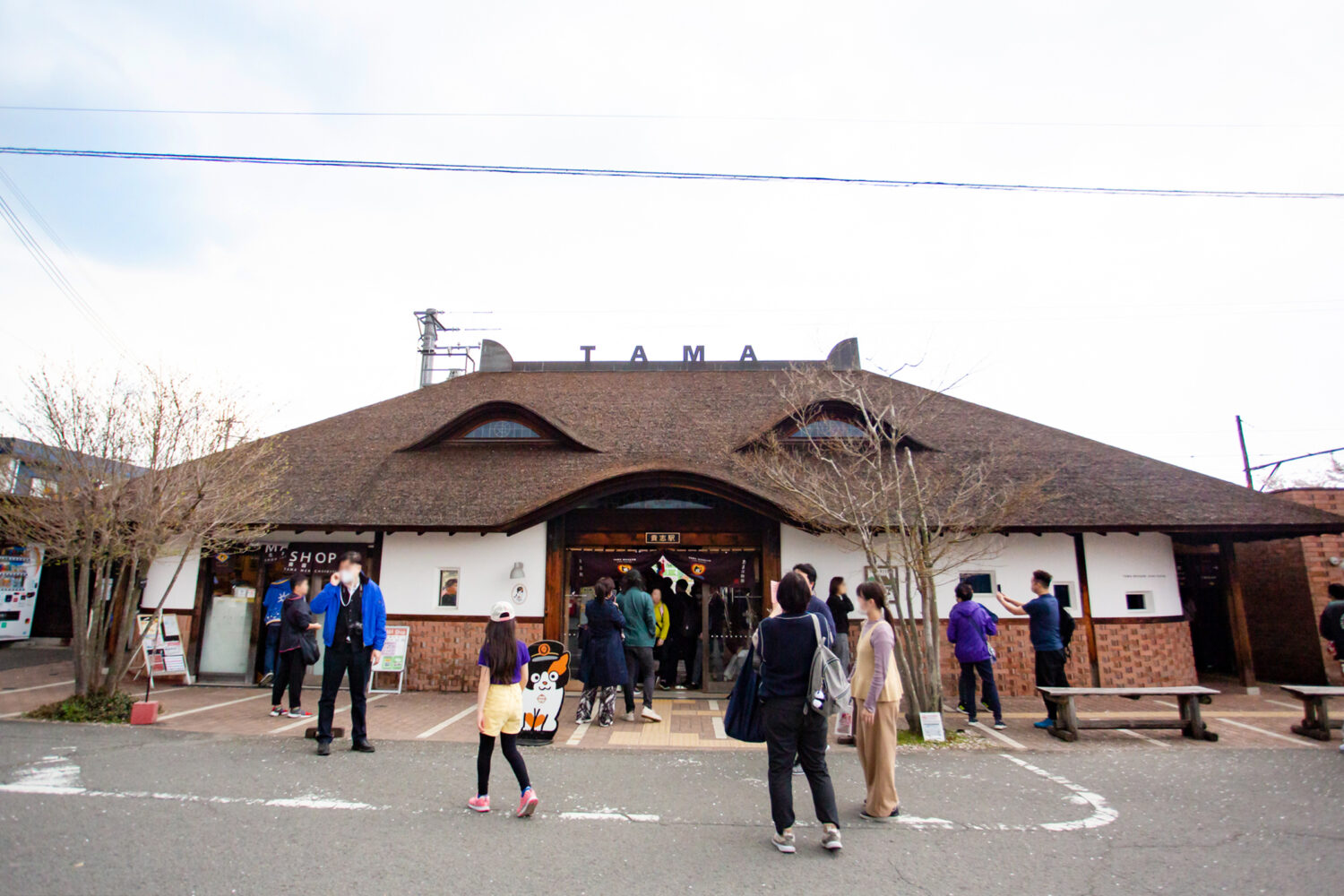 春を訪ねる「にっぽん丸」でクルーズデビュー