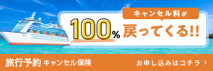 スマートプラス少額短期保険