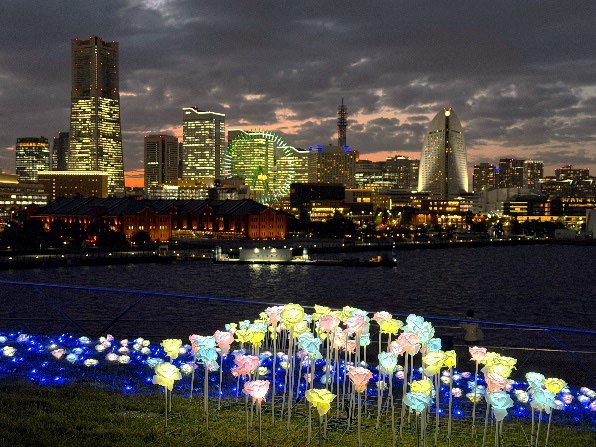 「横浜港フォトジェニックイルミネーション」開催、2月末まで