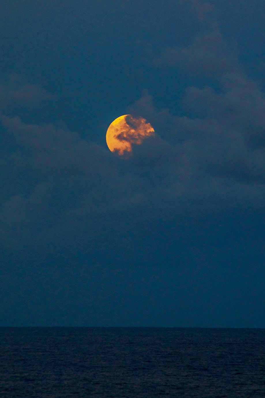 飛鳥Ⅱで行く北の大地 道北の美景・美食を余すことなく