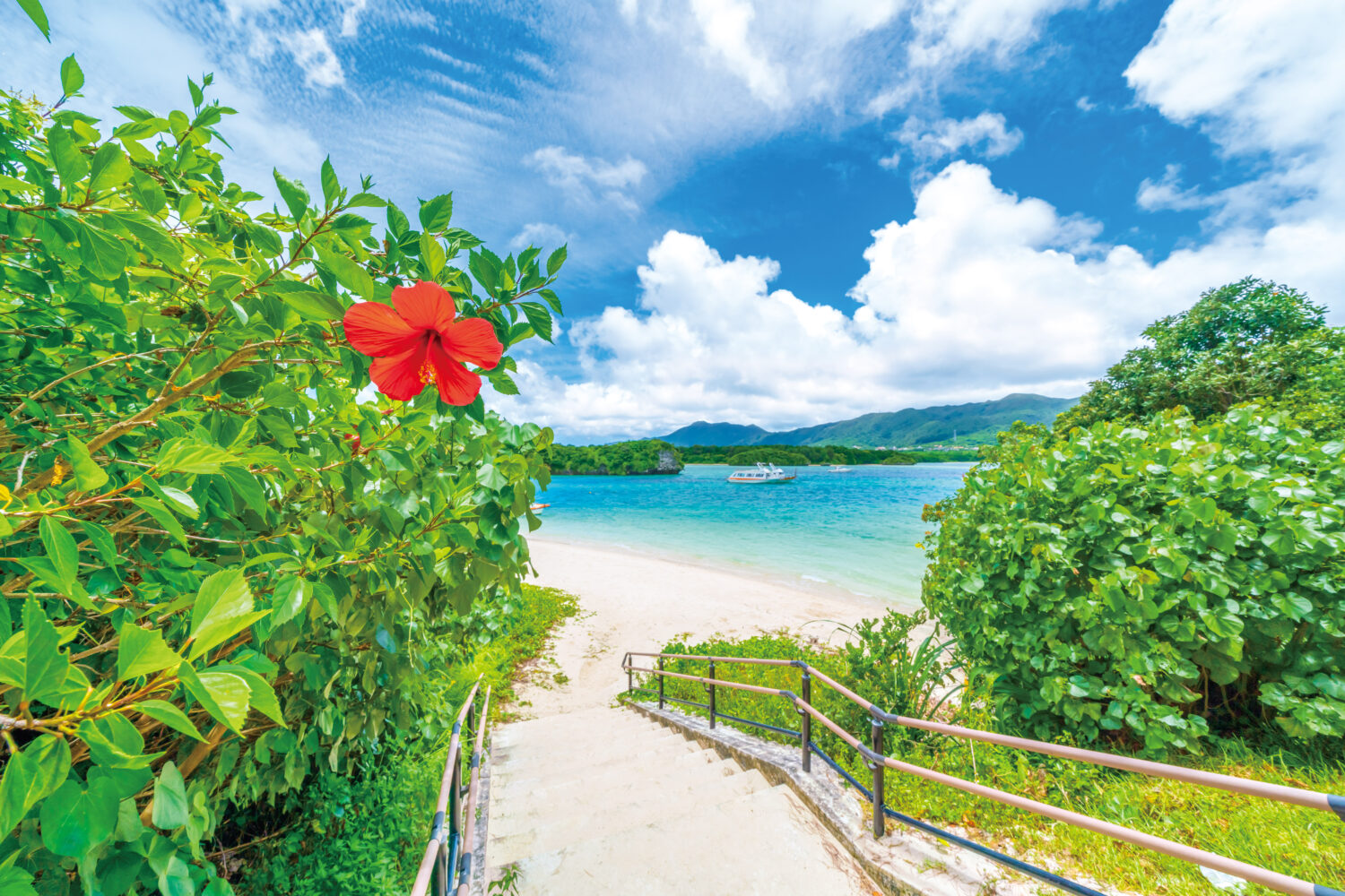 2026・2027年も沖縄発着を実施 MSCベリッシマの沖縄発着クルーズ