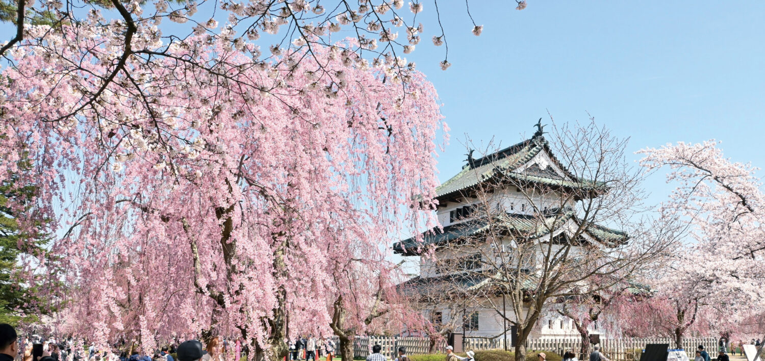 〈青森港〉400年を祝う港から未来へ、新たな魅力を創生