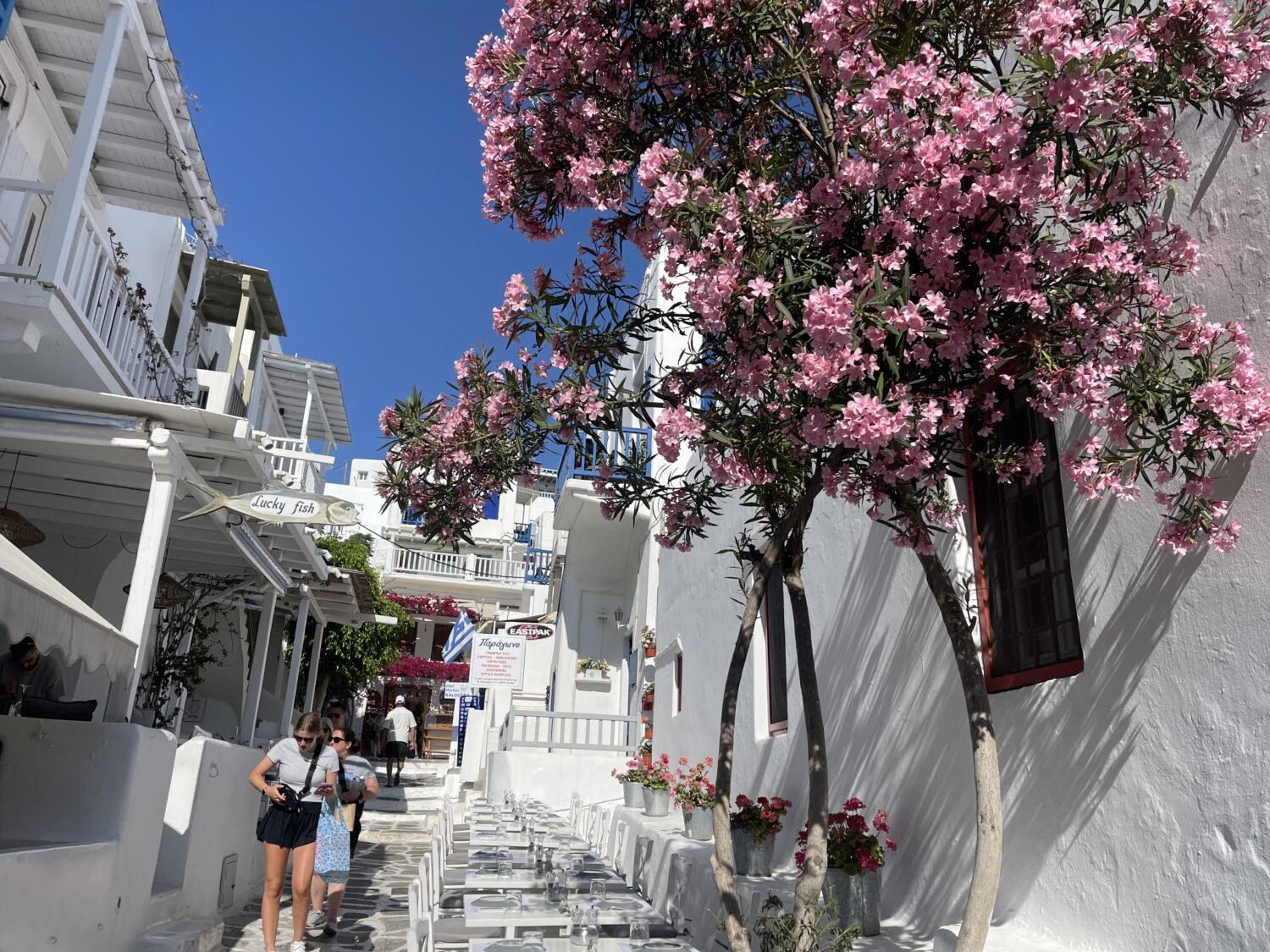 新生ノルウェージャン&nbsp;エピックで心身デトックスの旅 ～ギリシャ、マルタ、南イタリア巡り【後編】